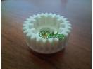 Pinion semanatoare Amazone